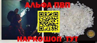 прущие грибы Лесосибирск