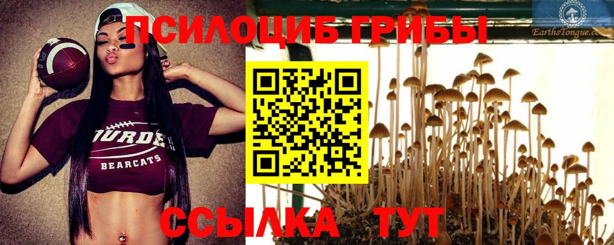 Жигулёвск  Галлюциногенные грибы Magic Shrooms  Вход с VPN 